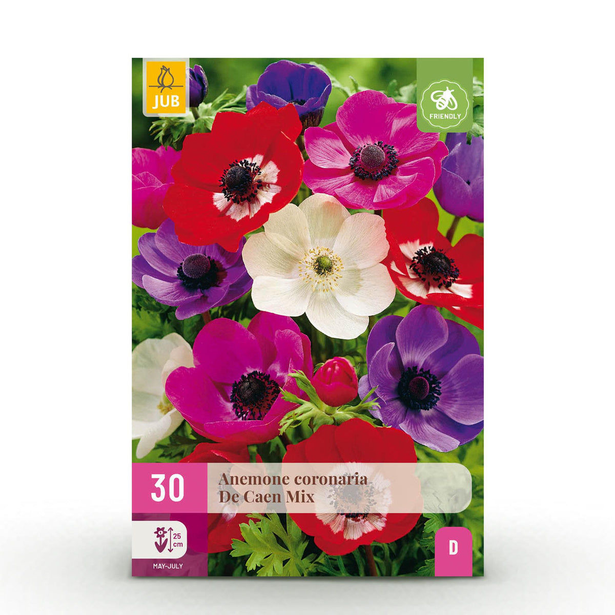 Blumenzwiebeln – Anemone de Caen Mix – winterhart & mehrjährig – verschiedene Farben – 30 Stück – Zwiebelgröße 5/6 – XXL Pack - Green Guardia - Ihr Experte für Schädlinge und Pflanzen