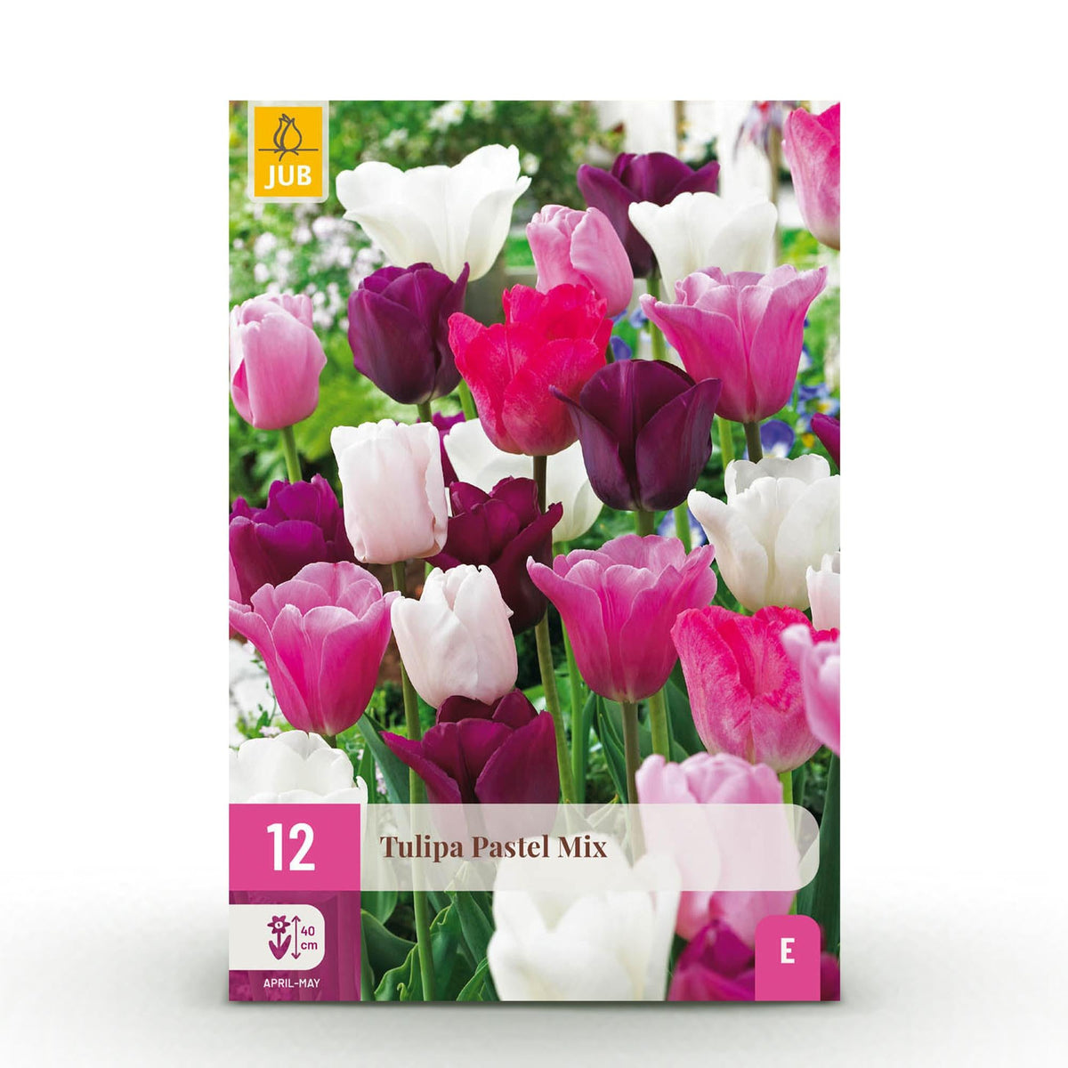 Blumenzwiebeln – Tulpe Pastel Mix – winterhart & mehrjährig – verschiedene Farben – 12 Stück – Zwiebelgröße 11/12 – XXL Pack - Green Guardia - Ihr Experte für Schädlinge und Pflanzen