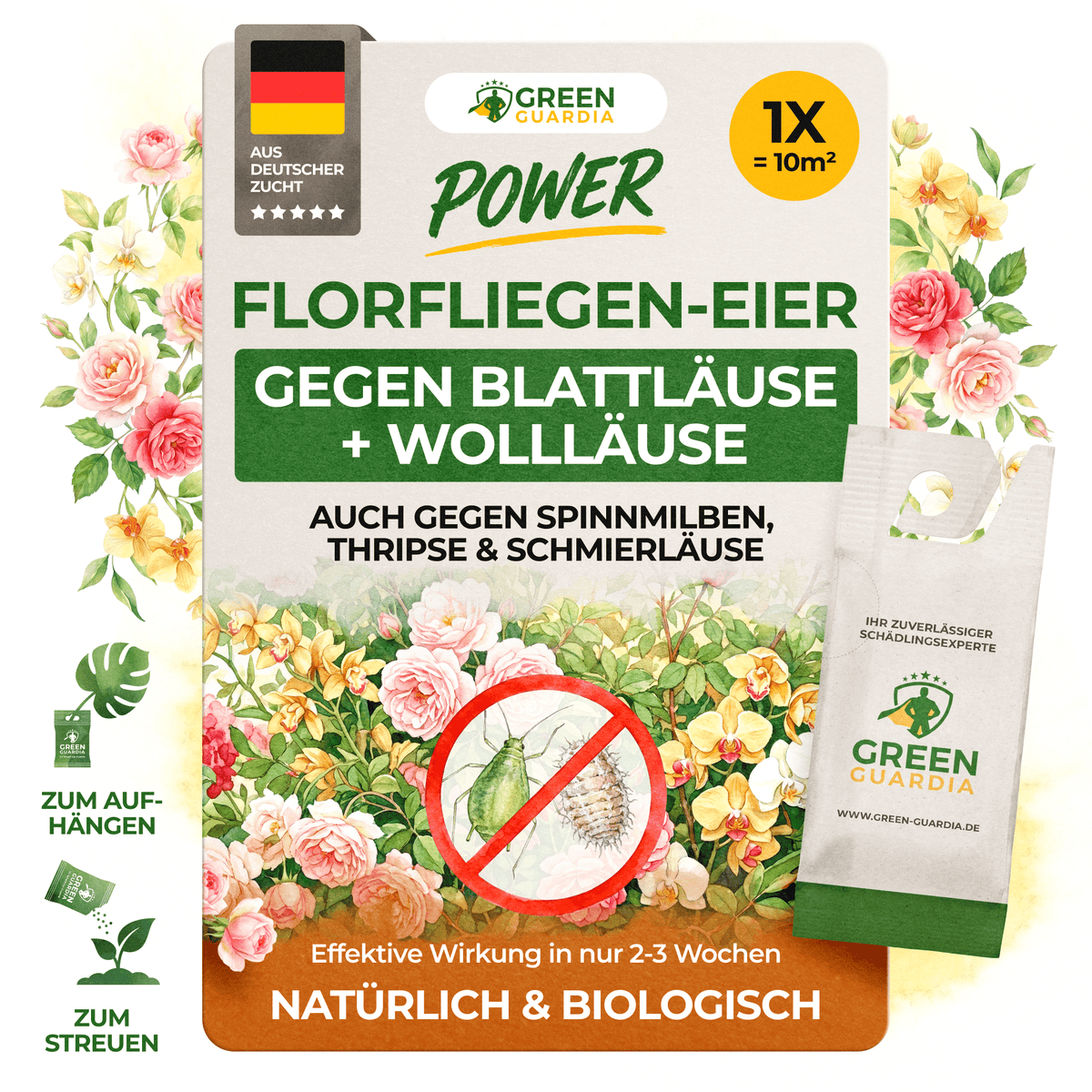 Florfliegenlarven - Eier gegen Blattläuse, Wollläuse - Green Guardia - Ihr Experte für Schädlinge und Pflanzen