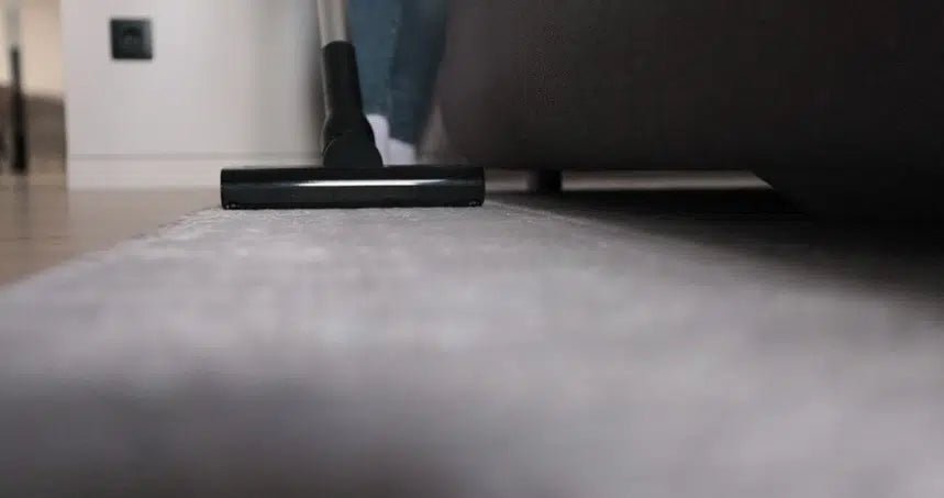 Lebensmittelmotte im Schlafzimmer: Ursachen und Lösungen - Green Guardia - Ihr Experte für Schädlinge und Pflanzen