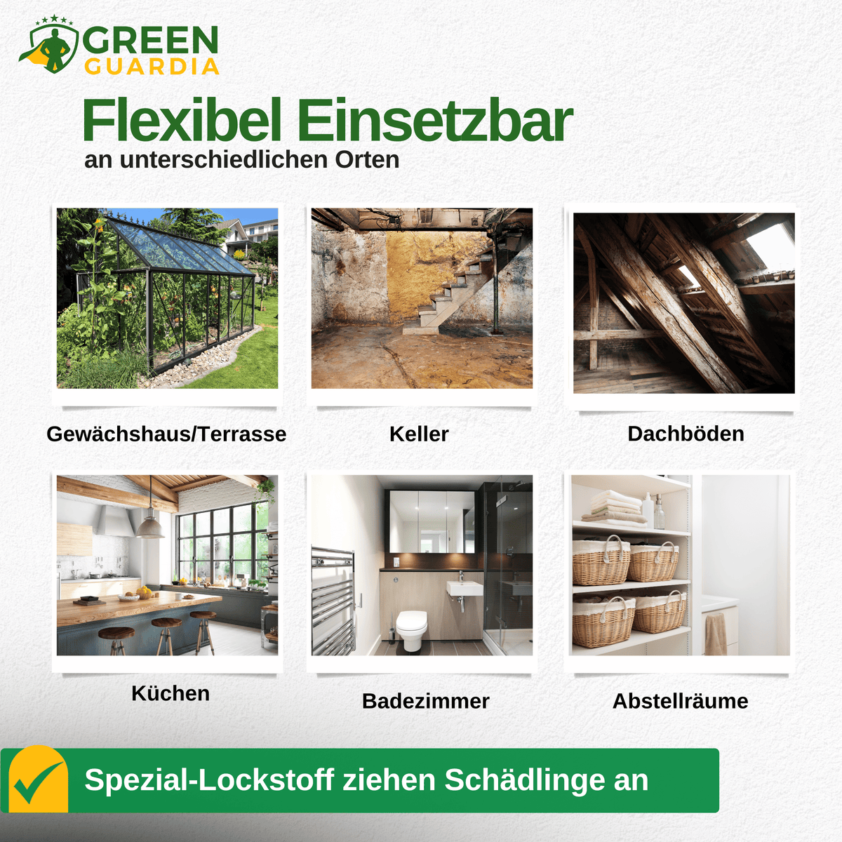 Ameisen Falle mit Pheromon - Lockstoff - Green Guardia - Ihr Experte für Schädlinge und Pflanzen