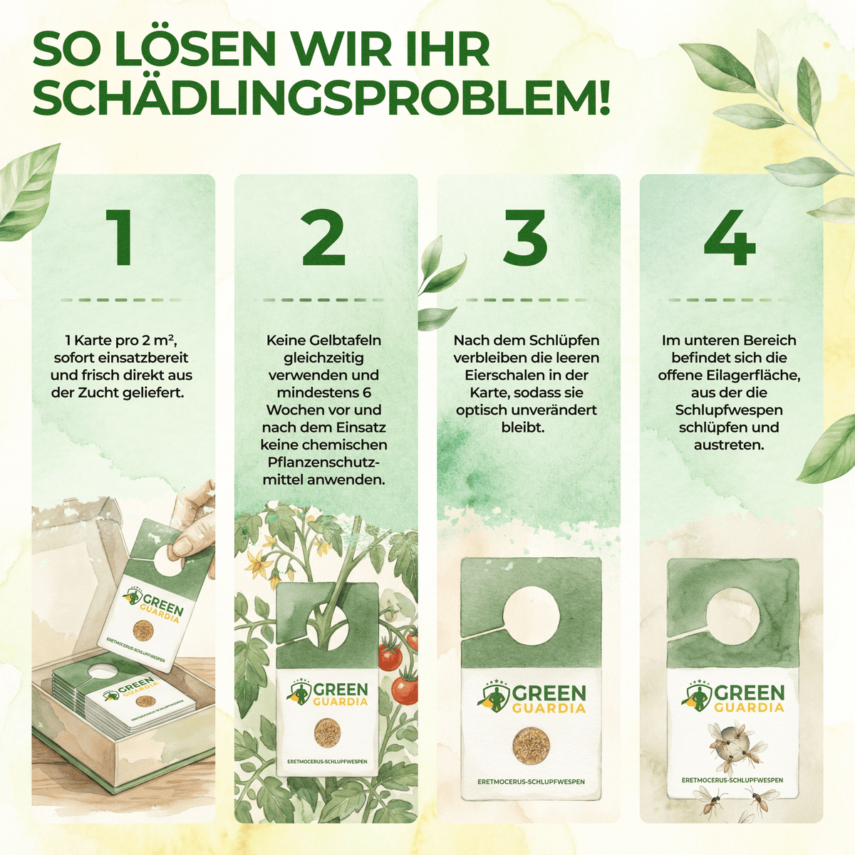 Eretmocerus - Schlupfwespen gegen Weiße - & Tabak Fliegen - Green Guardia - Ihr Experte für Schädlinge und Pflanzen