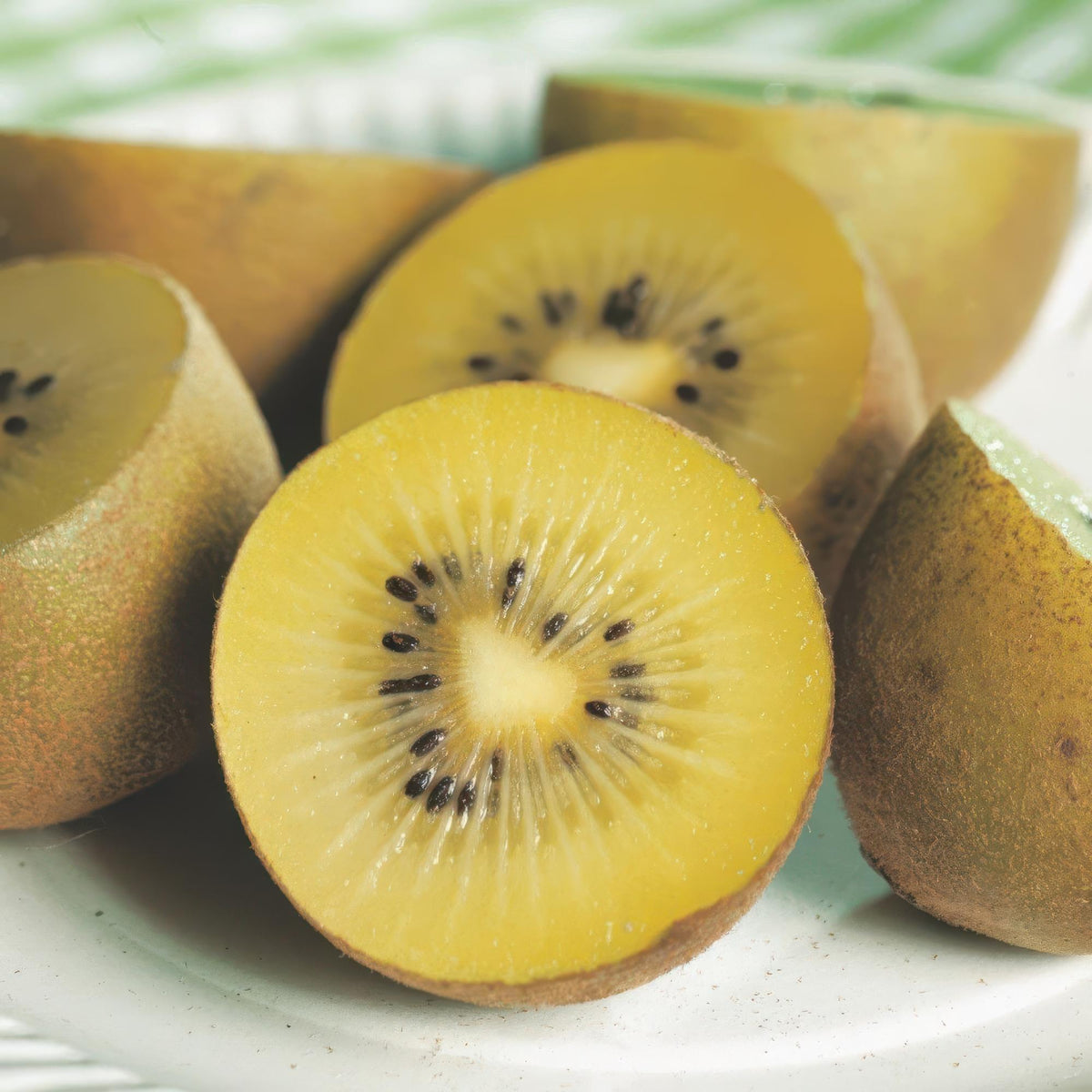 Gelbe Kiwi „Golden Kiwi“ (Actinidia deliciosa), 2 Pflanzen, 50 cm hoch - Green Guardia - Ihr Experte für Schädlinge und Pflanzen