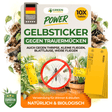 Gelbsticker gegen Trauermücken, Thripse & anderen Fluginsekten
