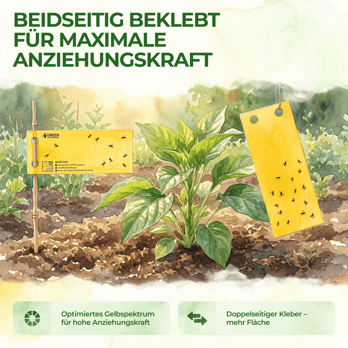Gelbsticker (10x Stück inkl. Bambusstäbchen) - Green Guardia - Ihr Experte für Schädlinge und Pflanzen