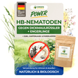 HB-nematoder mod sorte vinsnudebiller og larver