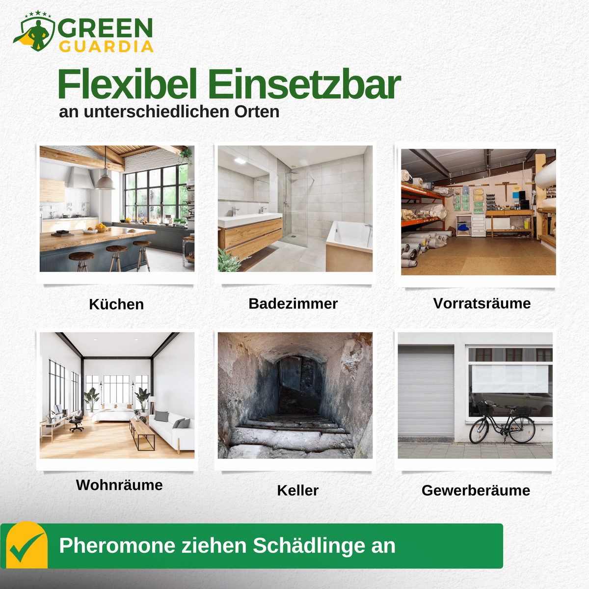 Kakerlaken / Schaben Falle mit Pheromon - Lockstoff - Green Guardia - Ihr Experte für Schädlinge und Pflanzen