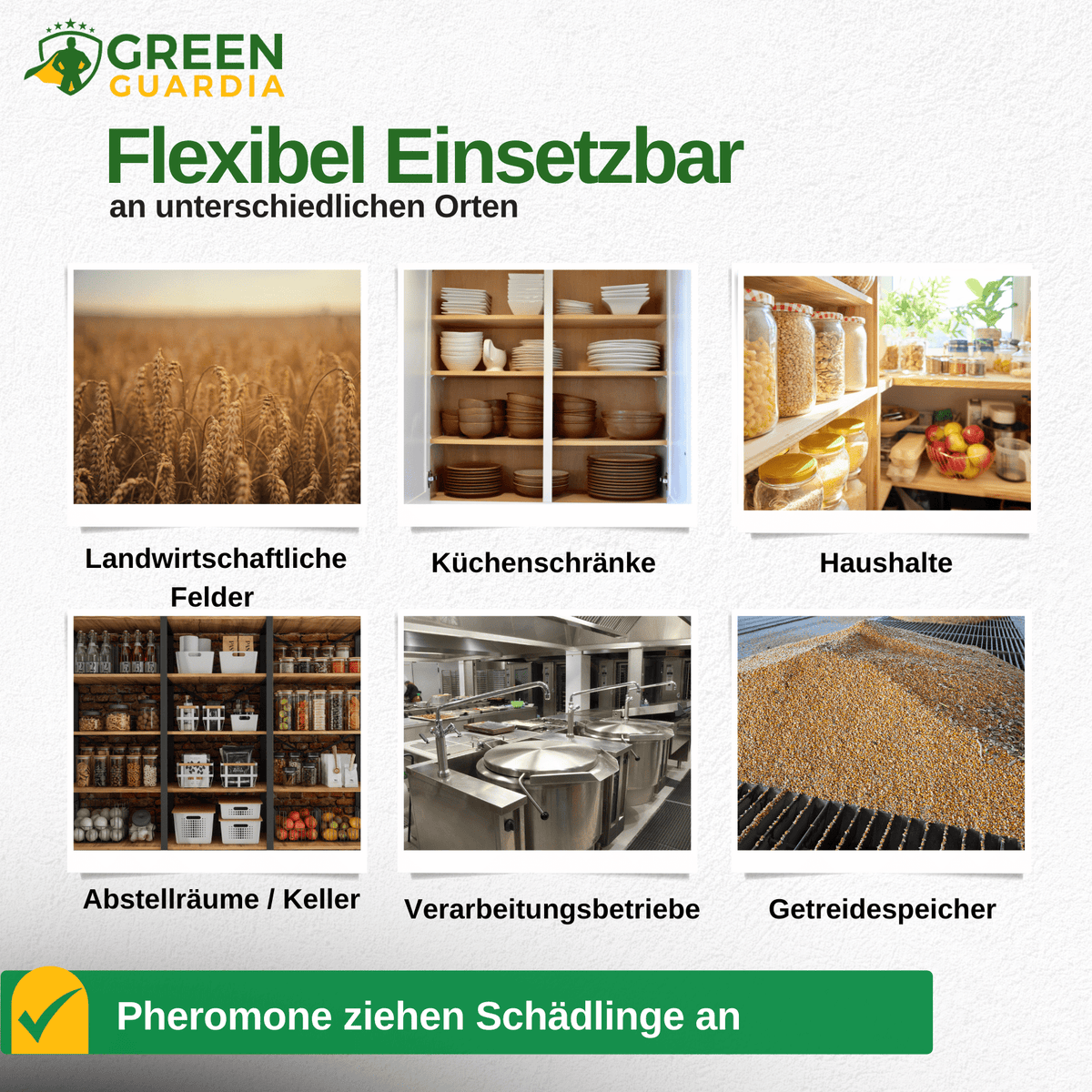 Kornkäfer Falle mit Pheromon - Lockstoff - Green Guardia - Ihr Experte für Schädlinge und Pflanzen