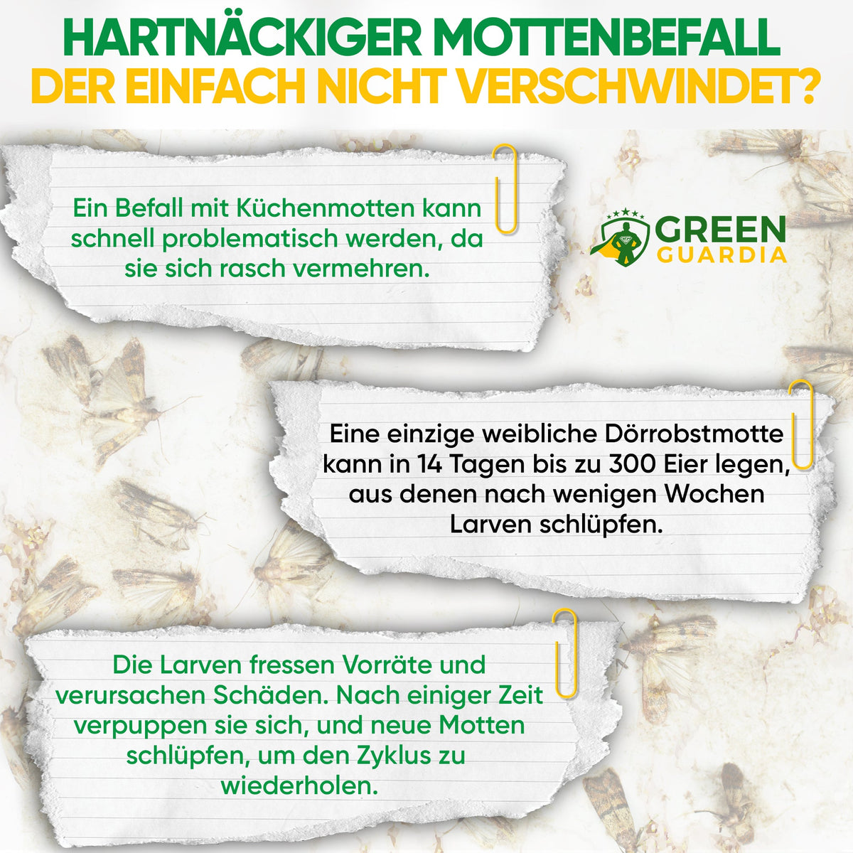 Lebensmittelmotten - Falle (10 Stück Vorteilspack) - Green Guardia - Ihr Experte für Schädlinge und Pflanzen