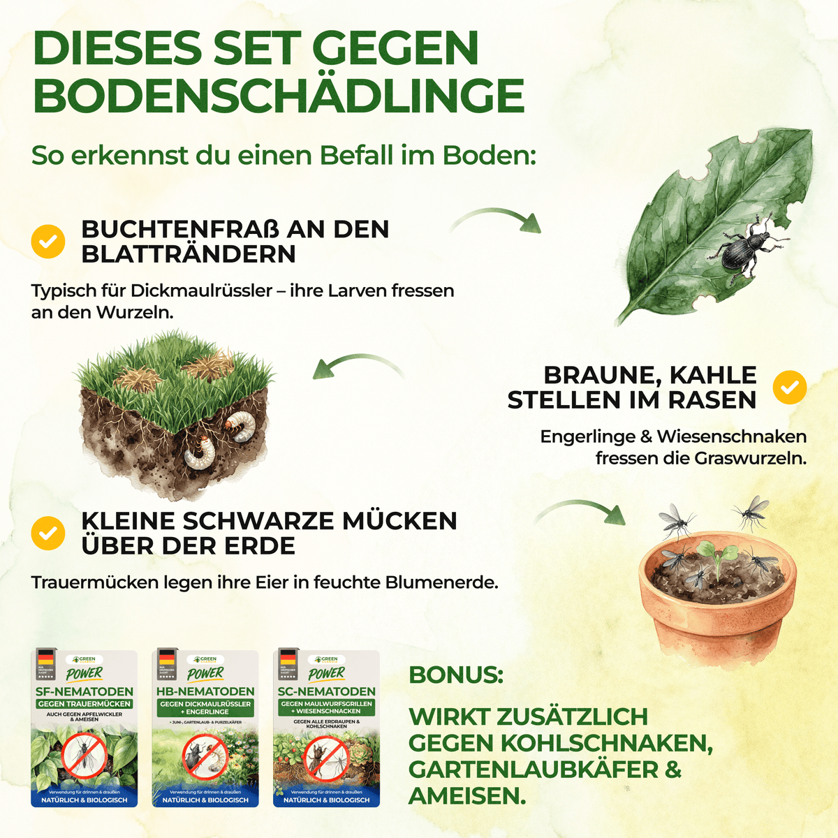 Nematoden Bodenschädlings-Set - Green Guardia - Ihr Experte für Schädlinge und Pflanzen