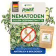 Nematoden gegen Gespinstmotten