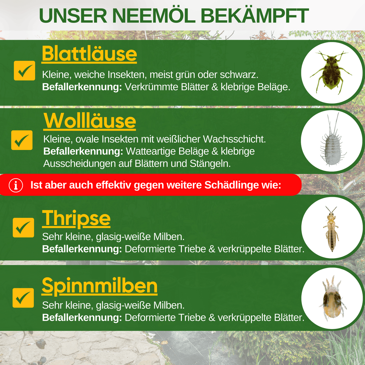 Power Neemöl gegen Blatt - und Wollläuse - Green Guardia - Ihr Experte für Schädlinge und Pflanzen