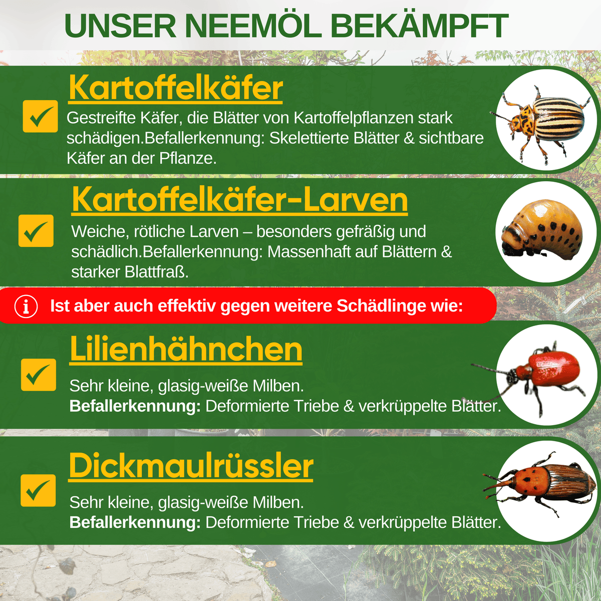 Power Neemöl gegen Kartoffelkäfer - Green Guardia - Ihr Experte für Schädlinge und Pflanzen