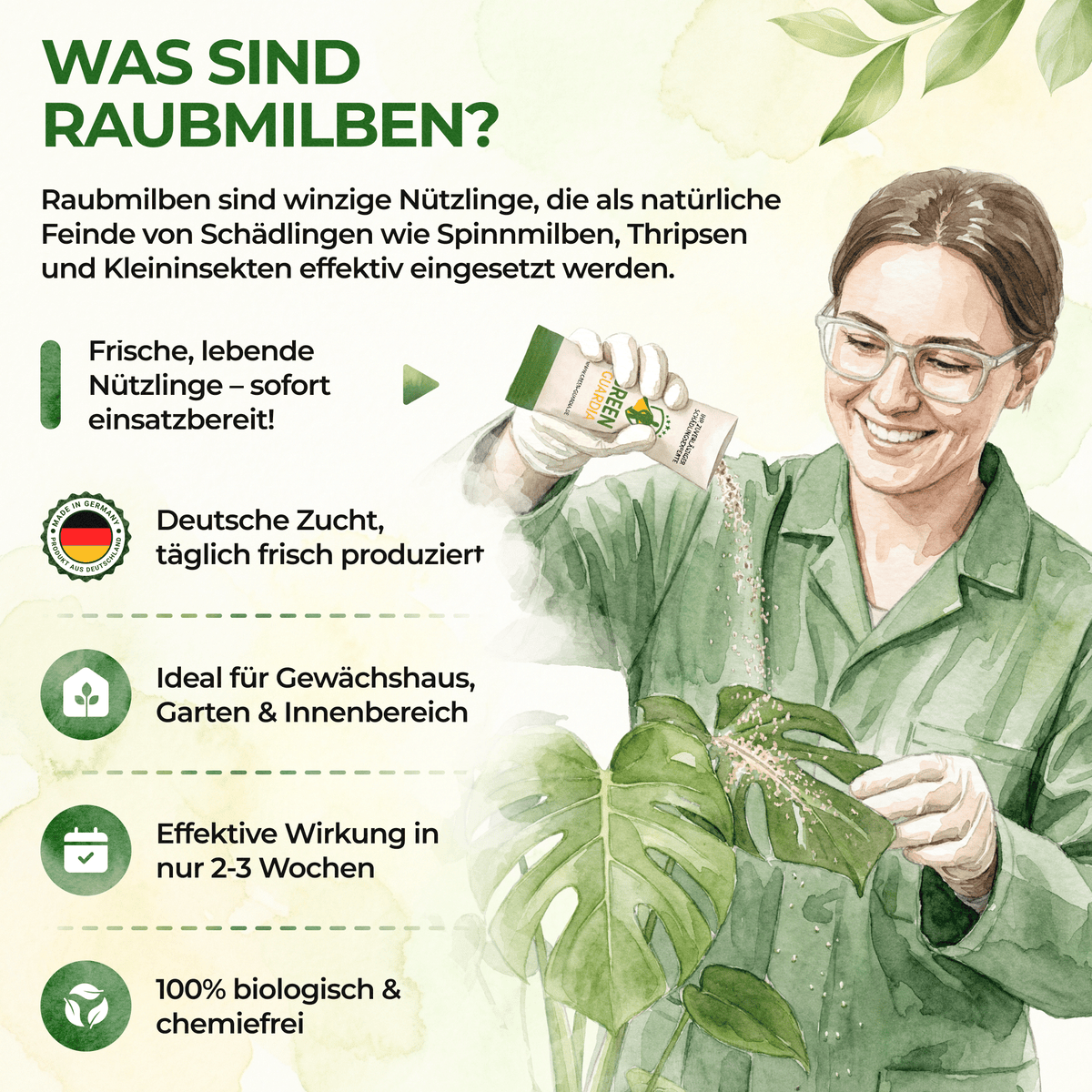Raubmilben gegen Spinnmilben - Green Guardia - Ihr Experte für Schädlinge und Pflanzen