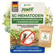 SC nematoder mod muldvarpe fårekyllinger, græshopper og bladorme