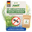 SF nematoder mod myrer
