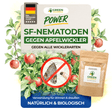 SF nematoder mod kodlingmøl