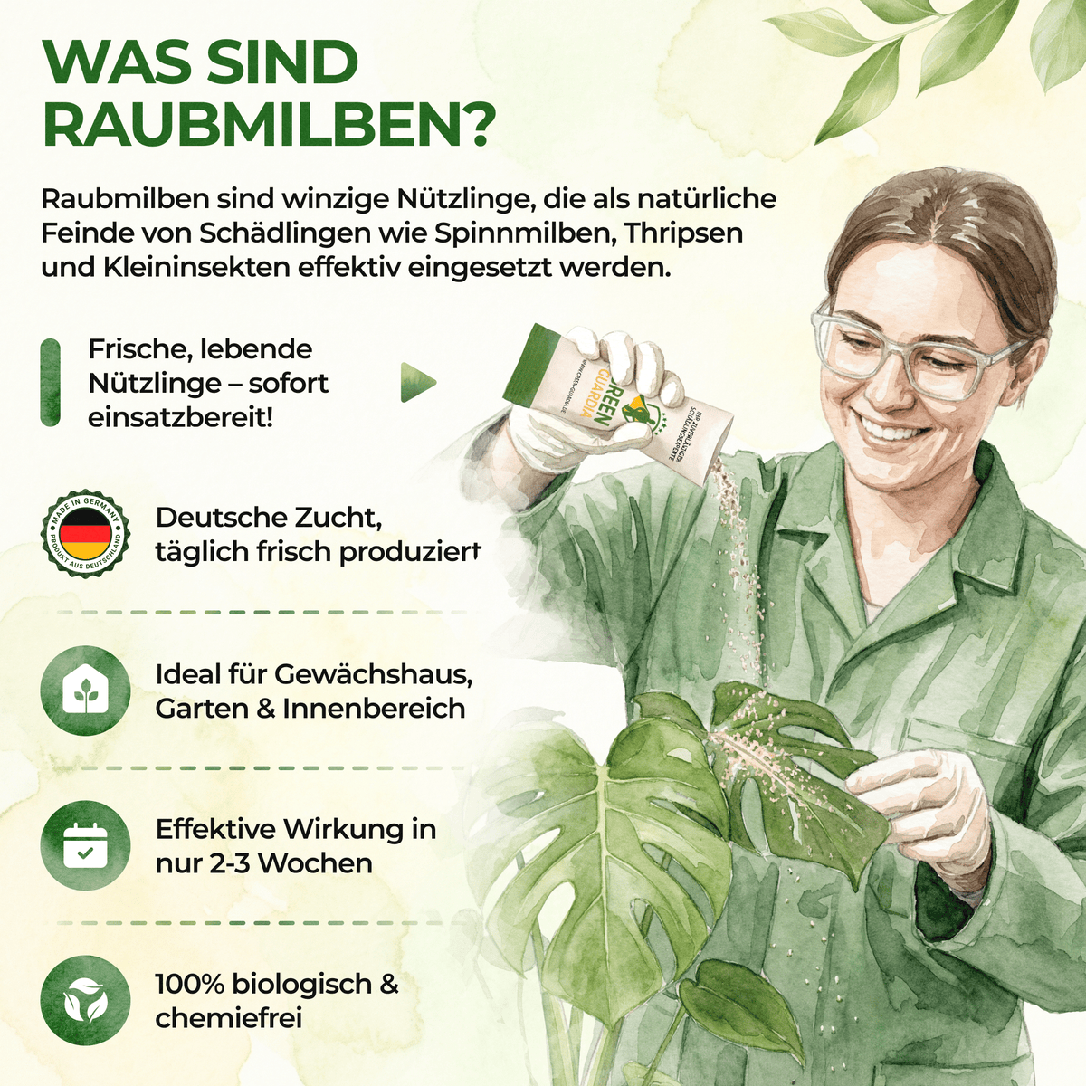 Ultimate Raubmilben gegen Thripse, Spinnmilben & Weiße Fliegen - Green Guardia - Ihr Experte für Schädlinge und Pflanzen