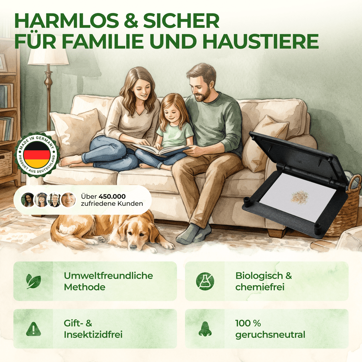 Wollkrautblütenkäfer Falle - Green Guardia - Ihr Experte für Schädlinge und Pflanzen
